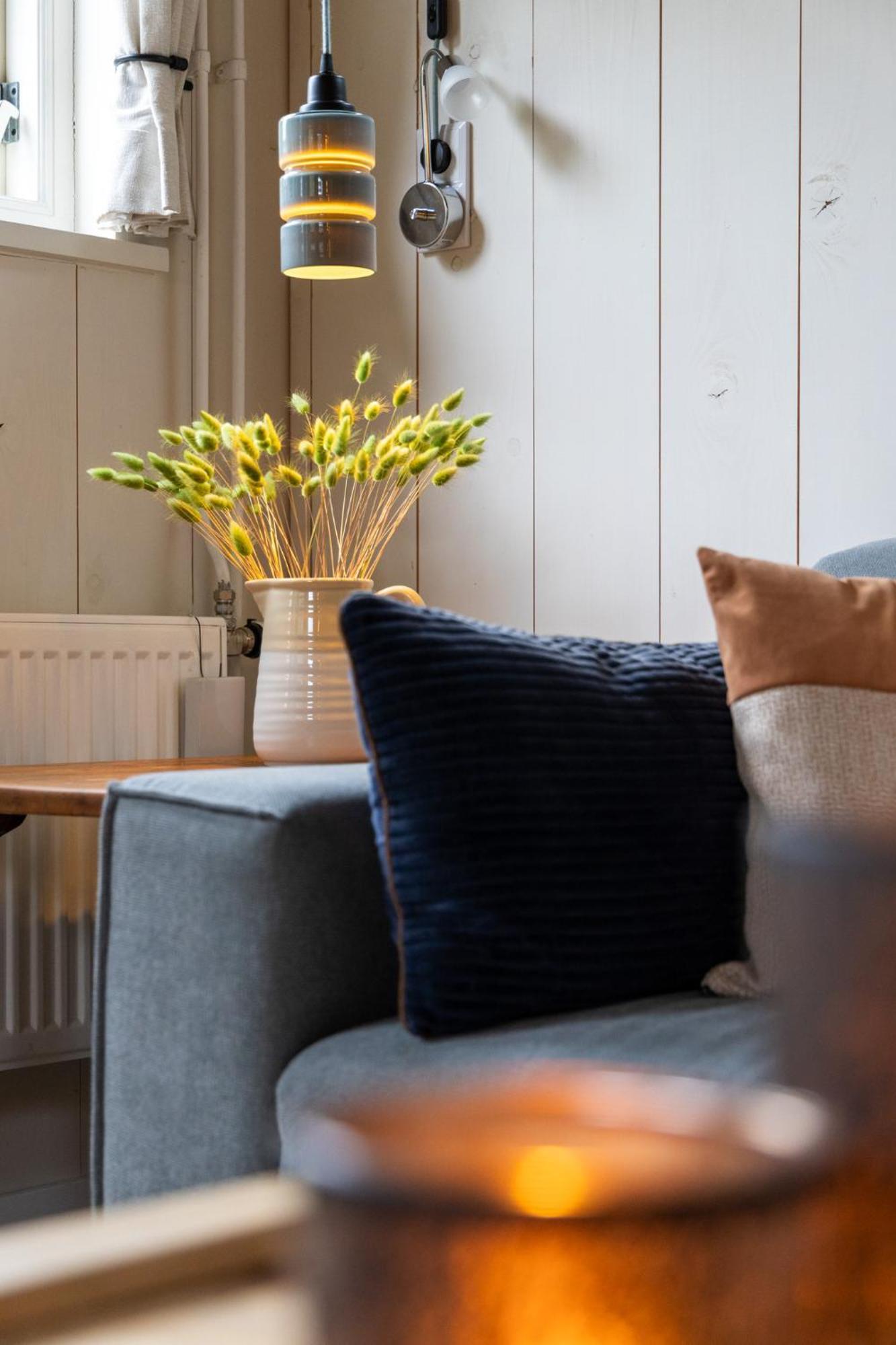 De Oude Walnoot Villa Sint Pancras Ngoại thất bức ảnh